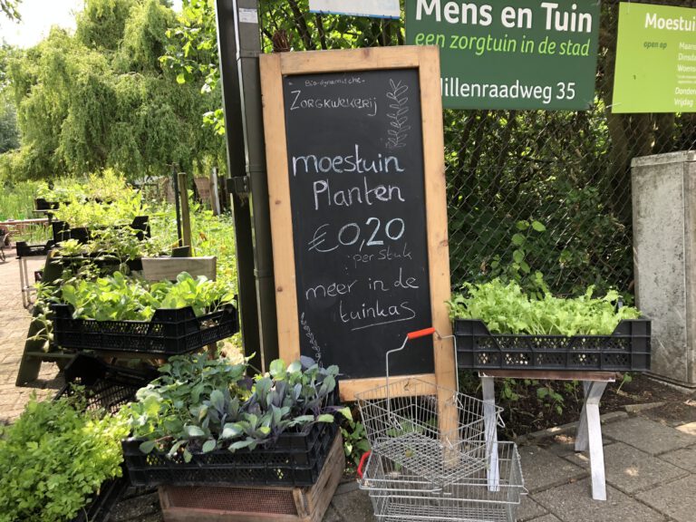 Moestuinplantjes
