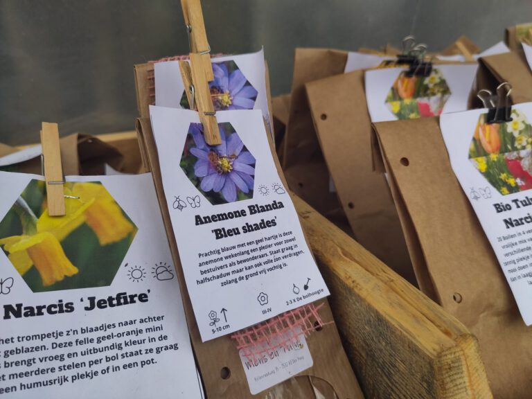 Bloembollenactie